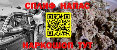прущие грибы Боровичи