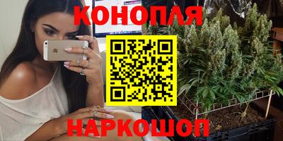 прущая мука Брянск