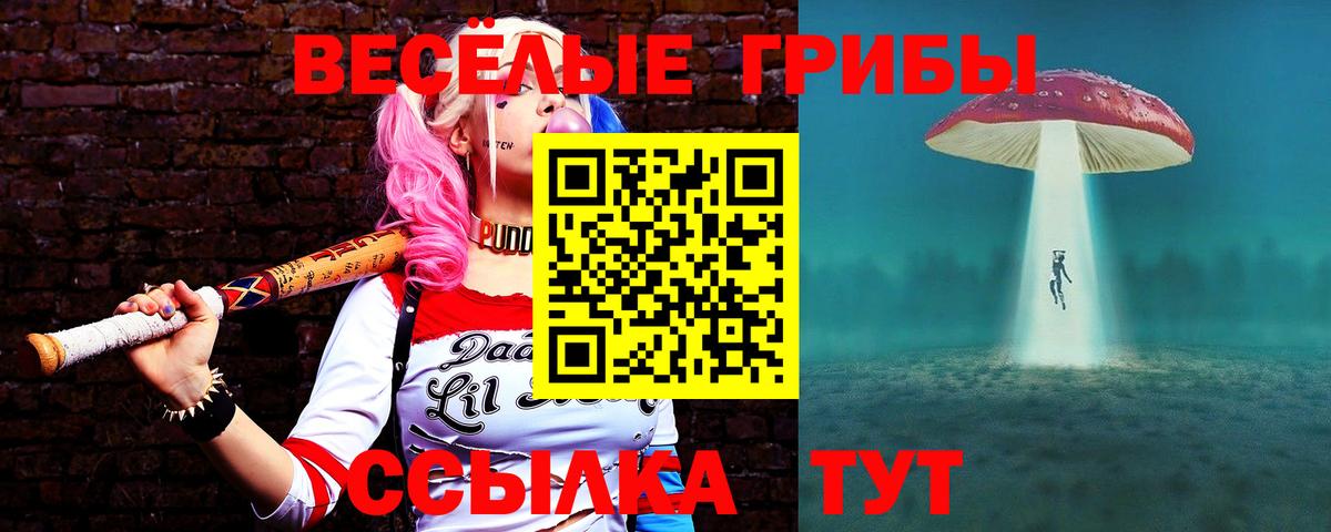 Галлюциногенные грибы прущие грибы  Вход с VPN  Краснознаменск 